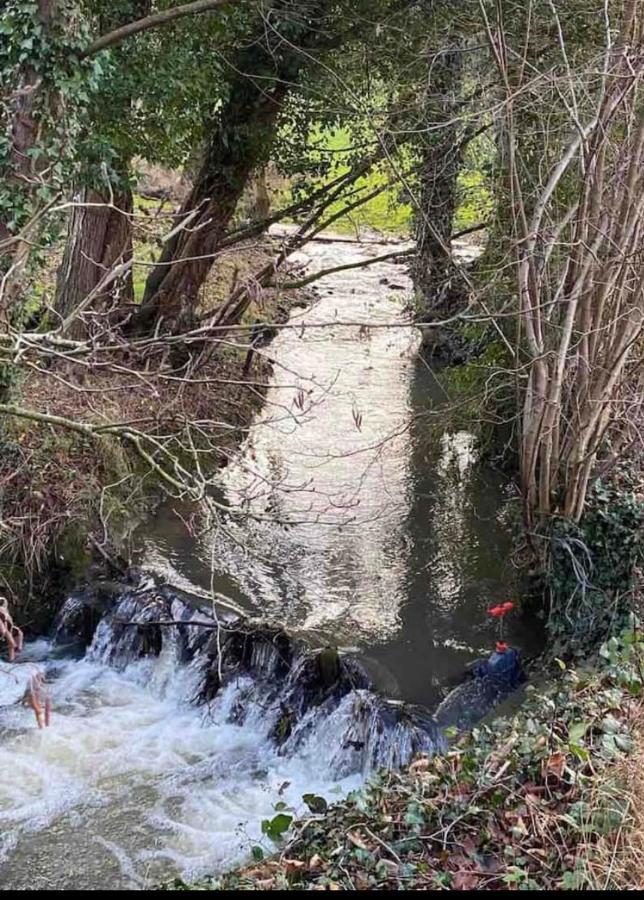 Le Ranch Des Aguesses Βίλα Andenne Εξωτερικό φωτογραφία