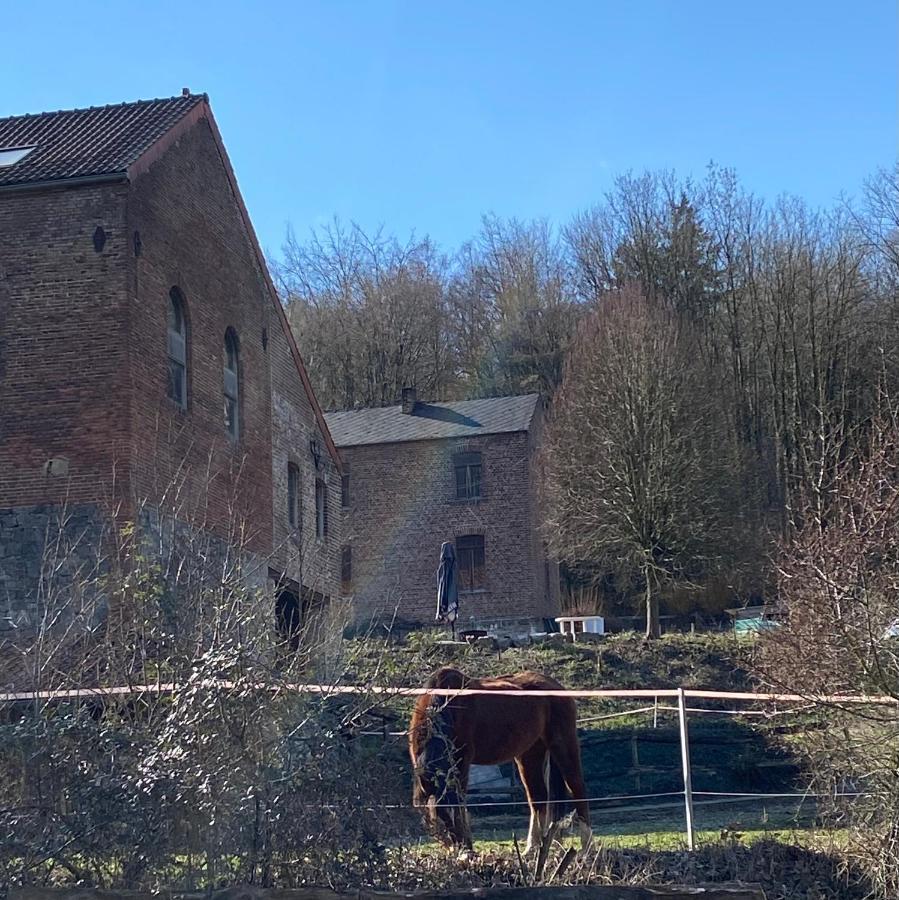 Le Ranch Des Aguesses Βίλα Andenne Εξωτερικό φωτογραφία