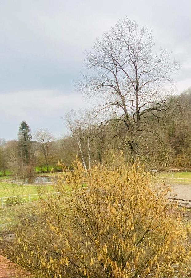 Le Ranch Des Aguesses Βίλα Andenne Εξωτερικό φωτογραφία