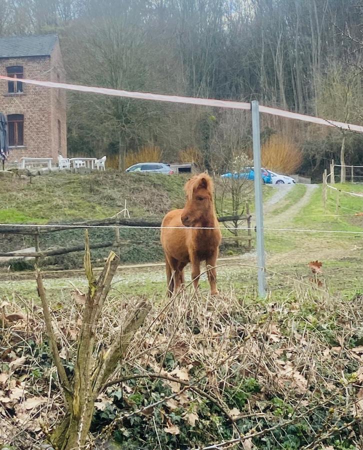 Le Ranch Des Aguesses Βίλα Andenne Εξωτερικό φωτογραφία